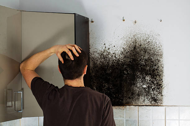 Certified Mold Removal in Sturgis, MI